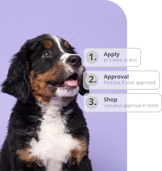 Monthly Payments* Petland Gahanna Ohio