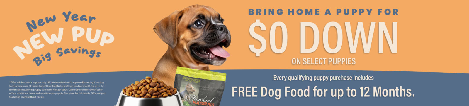 Puppies for Sale Banner