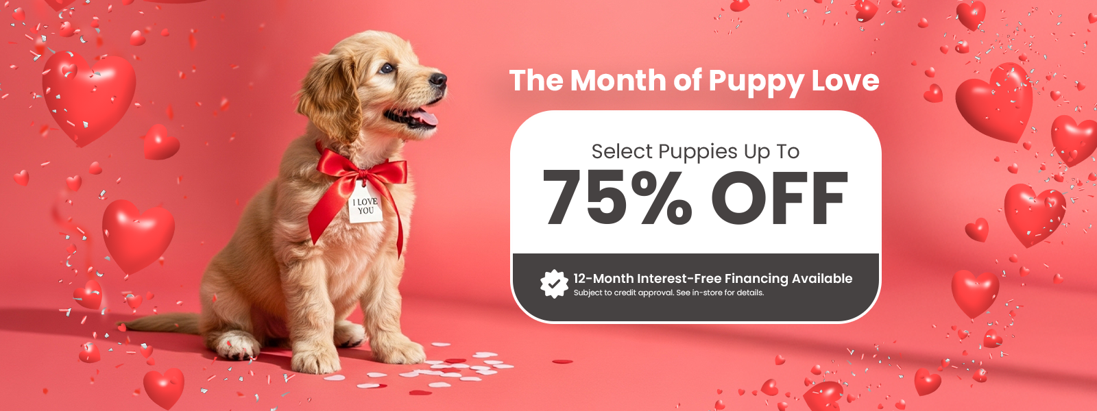 Mini Dachshund Banner