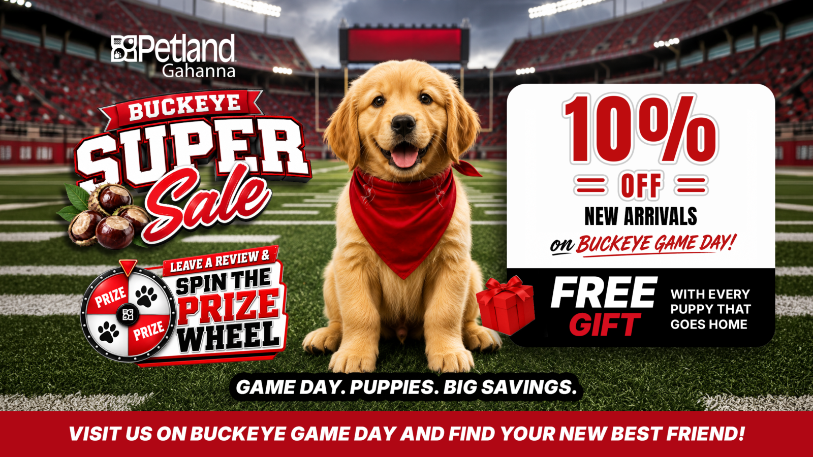Puppies for Sale Banner